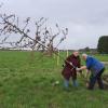 Carola und Peter Linder werkeln am Projekt Agroforst. 