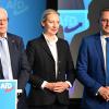 Die AfD-Parteispitze bestehend aus Alice Weidel und Tino Chrupalla beim Wahlkampfauftakt zur Europawahl zusammen mit dem AfD-Landesvorsitzenden Emil Sänze (l) in Donaueschingen. Der eigentliche Spitzenkandidat der Partei war nicht anwesend.