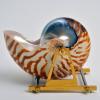 Sigurd Brongers Brosche trägt den Titel: "Carrying device for a Nautilus shell".