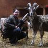 Blanka Hoffmann arbeitet ein Jahr lang als Tierpflegerin auf Gut Morhard. Die Ziegen sind ihr besonders ans Herz gewachsen.