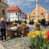 Die Stadt Friedberg läutet den Frühlingsbeginn mit dem ersten Marktsonntag ein.
