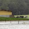 Bei Birkach verwandelte sich eine Pferdekoppel in einen See.