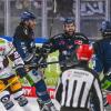 Die Straubing Tigers (blaue Trikots) holten in der Serie gegen die Eisbären den ersten Sieg.