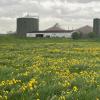 Die Abwärme der Biogas-Anlage im Norden von Buchloe würde sich auch für eine geplante Klärschlamm-Verwertungsanlage eignen. 