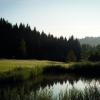 Eine idyllische Atmosphäre: Der Golfclub Augsburg liegt bei Burgwalden inmitten der Westlichen Wälder.