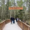 Gerade viele Familien besuchen den Dinopark bei Denkendorf und machen sich auf einen Spaziergang durch die verschiedenen Erdzeitalter.