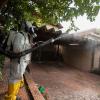 Ein Arbeiter der Stadt räuchert ein Viertel im Norden der brasilianischen Metropole aus im Kampf gegen die Ägyptischen Tigermücke (Aedes aegypti), die das Dengue-Virus überträgt.