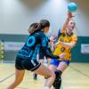 Handball SMU
Die Schwabmünchner Handballerinnen (am Ball Lea Lammich) müssen im letzten Playoff-Spiel nach Bergtheim.
Handball TSV Schwabmünchen
