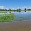 Das Gebiet um Rettingen - hier von der Birkschwaige aus gesehen - war beim Hochwasser großflächig überflutet.