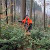 Förster Armin Desch steht in Privatwald in Aichen. In zehn Jahren will er sich hier durch die mannshohen Tannen kämpfen.