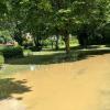 Noch am Samstagmittag stand das Wasser in der Kleingartenanlage. 