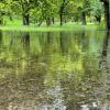 Im Luitpoldpark in Schwabmünchen war es am Samstag etwas sumpfiger als sonst.