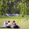 Sonniges Wetter im Berliner Tiergarten.