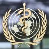 Weil das Nipah-Virus das Potenzial für Pandemien birgt, beobachtet es die WHO genau. 