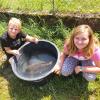 Kinder fangen Karpfen in Peterswörther Maisfeld