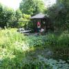 Am Teich im Garten von Sabine Kress kann man von bequemen Bänken aus die Vögel beobachten. 
