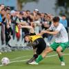 Voller Einsatz vor fast 1000 Zuschauern: Stätzling (rechts Luca Lenz) spielte in Thalhofen 3:3 und ist damit bei der Landesliga-Relegation raus. Foto: Peter Roth