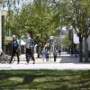 In den Semesterferien ist auf dem Uni-Campus relativ wenig los. Dann kommen Menschen, die die Natur genießen oder in Ruhe arbeiten wollen.