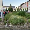 Die Teilnehmer besichtigen den nachhaltig gestalteten Garten. Neben dem Kräuterbeet gibt es Stauden und Bodendecker. Die Wiese darf wachsen und Büsche bieten Rückzugsmöglichkeiten für Tiere wie Igel.
