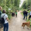 Zum Schluss wurde noch das Namensschild angeschraubt, dann war die neue Wolfsgrabenbrücke im Seeholz offiziell eröffnet. Zu sehen sind auf dem Foto (von links) Revierförster Andreas Brem, die Vorsitzende des Dießener Bund Naturschutz, Irmi Gebertshammer, Zimmerer Jakob Papperger, Dießens Bürgermeisterin Sandra Perzul, Uttings Bürgermeister Florian Hoffmann und die stellvertretende Leiterin des Landsberger Forstbetriebs, Sarah Becker.