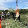 16 Mann der Feuerwehr Donauwörth waren im Einsatz, um ein verunglücktes Pferd mit schwerem Gerät aus der Kessel zu hieven. 