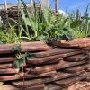 Kreativer Einsatz von Baumaterialen, liebevoll angelegte, naturnahe Pflanzflächen und gemütliche Erholungsbereiche prägen den Hortus Sheelars in Rebdorf. Er wird beim Tag der offenen Gartentür vorgestellt.