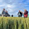 Birgitt Wagenpfeil vom Amt für Landwirtschaft in Augsburg stellte den Teilnehmerinnen und Teilnehmern die Ergebnisses des Winterweizen-Feldversuchs von Landwirt Hans Jürgen Erhard in Hörmannsberg vor.
