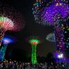 Die Supertrees in den Gardens by the Bay während der abendlichen Lichtshow.