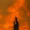 Waldbrände richteten vergangenes Jahr in Griechenland verheerende Schäden an.