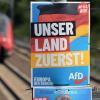 Ein Wahlplakat der AfD für die Europawahl.