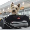 Raus aus dem Handgepäck: "Bark Air" wirbt mit Luxusflügen für Hund und Herrchen.