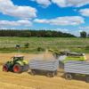 Ein Landwirt erntet mit seinem Mähdrescher Gerste auf einem Feld in Ostbrandenburg.