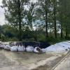 Sandsäcke stützen seit dem Hochwasserwochenende den Damm am Mühlenweiher in Nordholz.