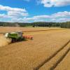 Ein Landwirt erntet mit seinem Mähdrescher Gerste auf einem Feld in Ostbrandenburg.