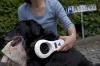 Mithilfe eines Chip-Lesegeräts kann der Hund Carlos identifiziert werden und gelangt durch eine Registrierung bei TASSO ist das Herrchen oder Frauchen schnell gefunden.