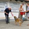 Im Rahmen des Sommerfestes im Landsberger Tierheim wird der Besucherhund des Tages in den Kategorien Klein, Mittel und Groß von Oberbürgermeisterin Doris Baumgartl ausgezeichnet. Hier ein paar Bilder der Prämierung.