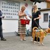 Im Rahmen des Sommerfestes im Landsberger Tierheim wird der Besucherhund des Tages in den Kategorien Klein, Mittel und Groß von Oberbürgermeisterin Doris Baumgartl ausgezeichnet. Hier ein paar Bilder der Prämierung.