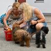 Im Rahmen des Sommerfestes im Landsberger Tierheim wird der Besucherhund des Tages in den Kategorien Klein, Mittel und Groß von Oberbürgermeisterin Doris Baumgartl ausgezeichnet. Hier ein paar Bilder der Prämierung.