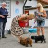 Im Rahmen des Sommerfestes im Landsberger Tierheim wird der Besucherhund des Tages in den Kategorien Klein, Mittel und Groß von Oberbürgermeisterin Doris Baumgartl ausgezeichnet. Hier ein paar Bilder der Prämierung.