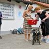 Im Rahmen des Sommerfestes im Landsberger Tierheim wird der Besucherhund des Tages in den Kategorien Klein, Mittel und Groß von Oberbürgermeisterin Doris Baumgartl ausgezeichnet. Hier ein paar Bilder der Prämierung.