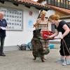 Im Rahmen des Sommerfestes im Landsberger Tierheim wird der Besucherhund des Tages in den Kategorien Klein, Mittel und Groß von Oberbürgermeisterin Doris Baumgartl ausgezeichnet. Hier ein paar Bilder der Prämierung.