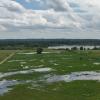 Das Gundelfinger Moos nach dem Hochwasser.