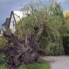 Gestern rückte die Feuerwehr in Cottbus zu zahlreichen wetterbedingten Einsätzen aus. Ein mutmaßlicher Tornado entwurzelte Bäume, zudem wurden Häuser und Autos beschädigt.