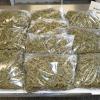 Die Polizei hat an der Raststätte Köschinger Forst knapp zehn Kilo Marihuana gefunden. Die zehn Päckchen lagen im Kofferraum eines Taxis. 