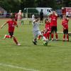 Der TSV Mindelheim richtet sein dreitägiges Jugendfußballturnier für G- bis D-Junioren aus. Die Nachwuchskicker sind mit Feuereifer dabei. 