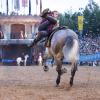Die Tricks der Stunttruppe Cavalcade auf dem Rücken der Pferde sind ein Höhepunkt des Kaltenberger Ritterturniers.