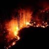 Hitzebrände toben in Bukgarien auch in diesem Sommer