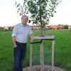 Berti Reiter vom Obst- und Gartenbauverein Bobingen vermittelt Streuobst für alle. 