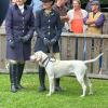 Foxhounds aus Pöttmes bei der Zuchtschau.