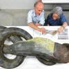 Eines der berühmtesten Exponate des Frankfurter Senckenberg Naturmuseums kehrt zurück: die Würgeschlange mit Wasserschwein im Maul. (Archivfoto)